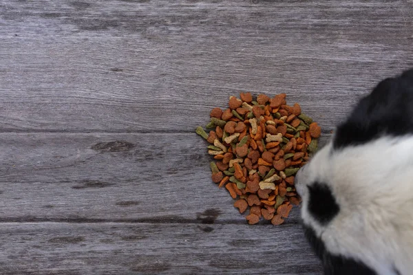 Dog food on wooden texture background — Stock Photo, Image