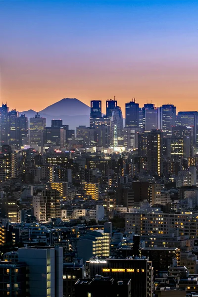 東京、日本 - 2019年8月20日 - 東京空の夕暮れと山の眺め. — ストック写真