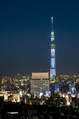 Tokyo, Japonya - Ağu 20 2019 - Tokyo Skytower Alacakaranlık Güneşi Görünümü