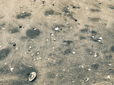 Anjarle Beach, Maharashtra Hindistan gezisi