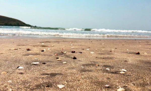 Поездка Anjarle Beach Махараштра Индия — стоковое фото