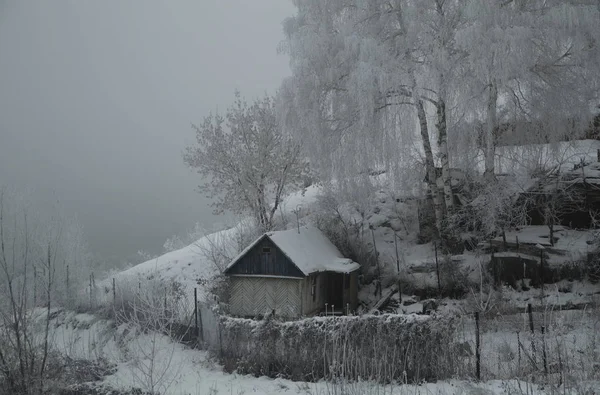 Forêt Hiver Russie Sibérie — Photo