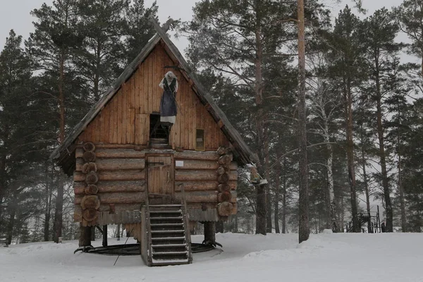 Forêt Hiver Russie Sibérie — Photo