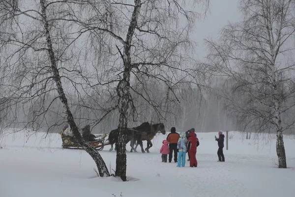 Foresta Invernale Russia Siberia — Foto Stock