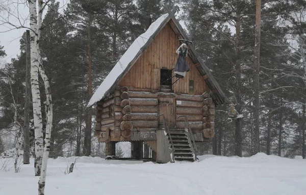 Зимовий Ліс Росія Сибіру — стокове фото