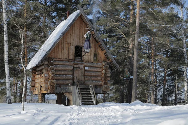 Winter Forest Rusland Siberië — Stockfoto