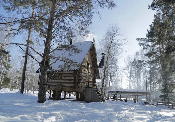 Foresta Invernale Russia Siberia — Foto Stock