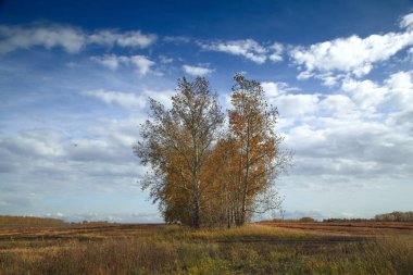 Altay, güneşli bir günde alanı