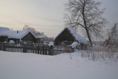 Kış orman, Rusya, Sibirya