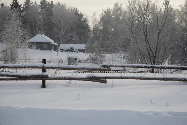 Foresta Invernale Russia Siberia — Foto Stock