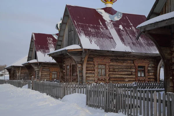 Winter Forest Rusland Siberië — Stockfoto