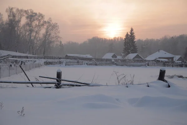 Χειμώνας Δάσος Ρωσία Σιβηρία — Φωτογραφία Αρχείου