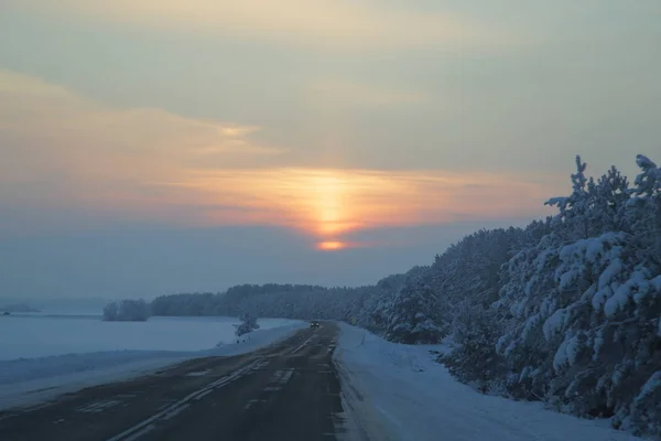 Zima Las Rosja Syberia — Zdjęcie stockowe