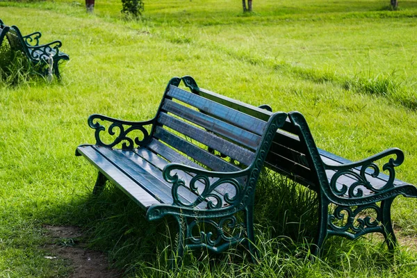 Obraz Czarny Dwa Kolorowe Park Żelaza Ławki Polu Soczyście Zieloną — Zdjęcie stockowe