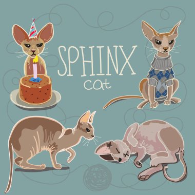 Vektör çizim Sfenks kedileri