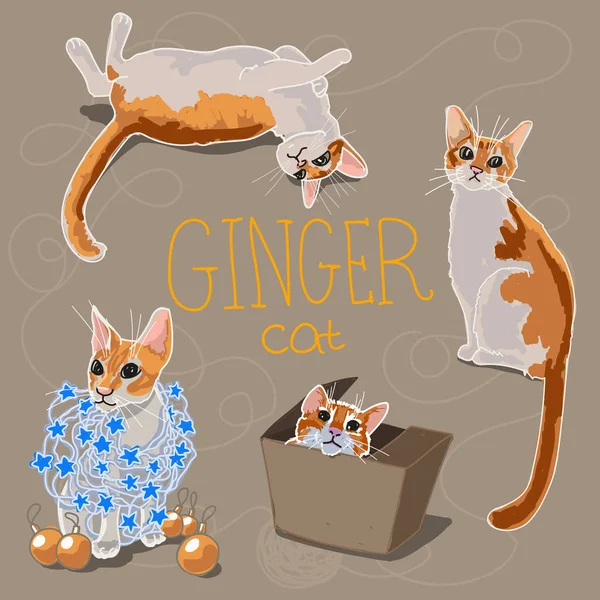 Vector Illustration Ginger Cats — Stock Vector