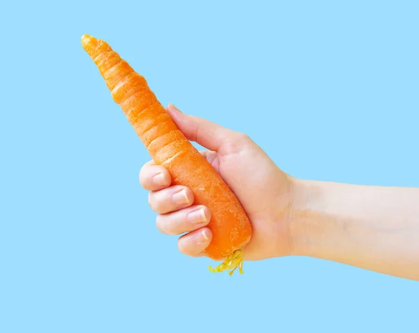 Carota Mano Mano Tiene Una Carota — Foto Stock