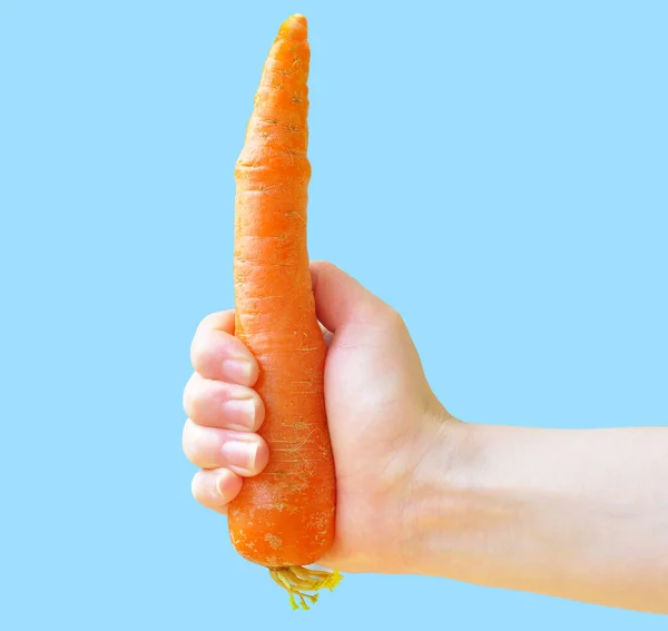Морковь Руке Рука Держит Морковку — стоковое фото