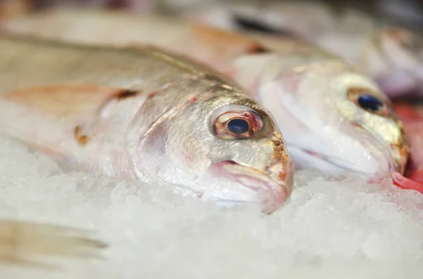 Frischer Fisch Auf Eis Zum Verkauf Auf Dem Markt — Stockfoto