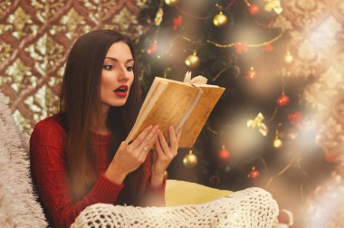 Güzel bir kadının tarihinin baktılar kırmızı kazaklı bir Divan örme battaniye altında oturur ve eski bir kitap okur. Çelenk içinde belgili tanımlık geçmiş Noel ağacı.