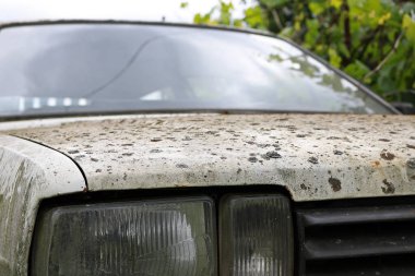 eski beyaz araba park