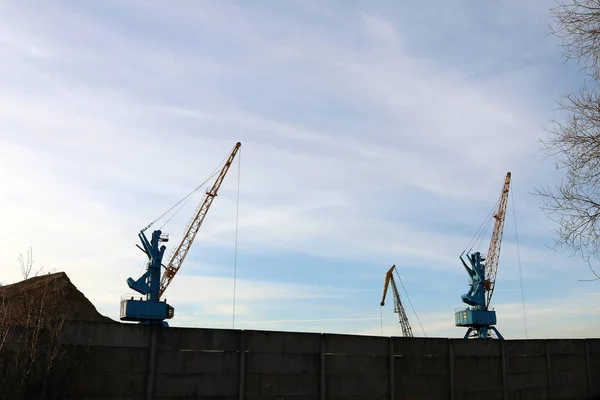 gantry cranes in port