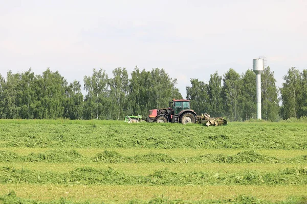 Enerji yüklü traktör çiftlikteki çimleri biçiyor.