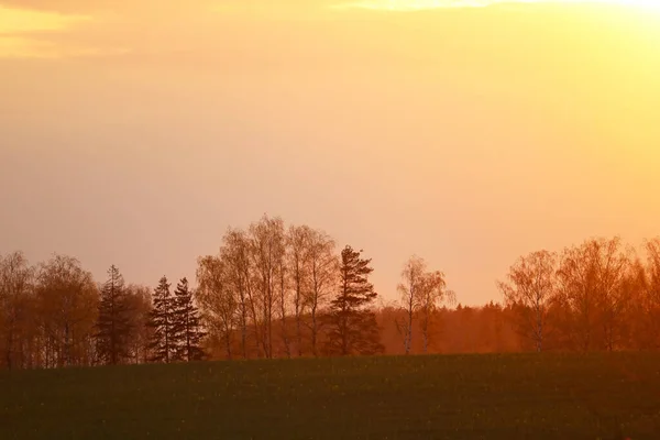 Doğada olağandışı güzel bir gün batımı