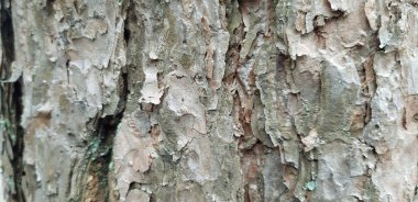 kahverengi dokulu arka plan