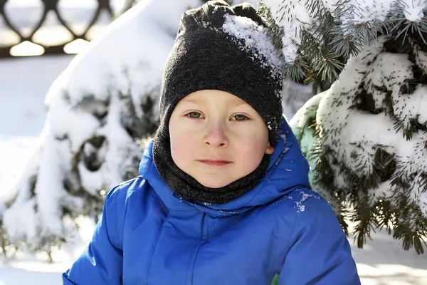 Happy Boy Leaned Snowy Cristmas Tree Child Winter Jacket Snowdrift — Stock Photo, Image