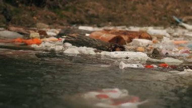 Çöp kıyıya yakın suda yüzen.