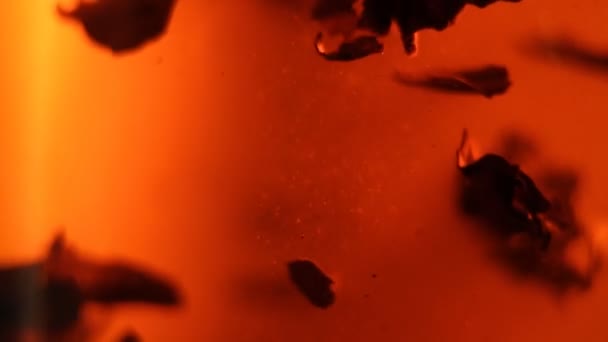 Plan macro de feuilles de thé flottant dans de l'eau bouillante dans une théière. Cérémonie du thé du matin .