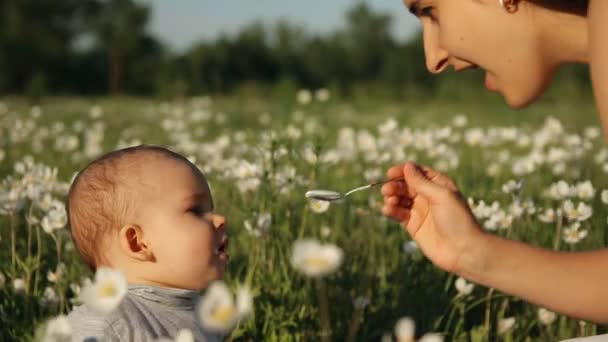 Slow motion av en ung glad mamma matar sitt barn som sitter i mitten av en blomma fältet i parken. — Stockvideo