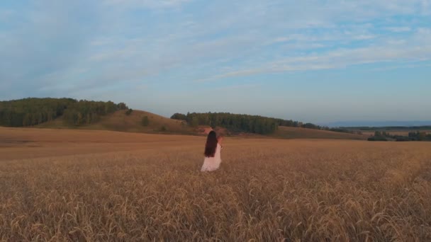 Uma jovem mãe e seu filho andando em um campo de trigo ao pôr do sol . — Vídeo de Stock