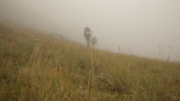 Toeristen Met Rugzakken Beklimmen Van Berg Mist Steadicam Geschoten — Stockvideo