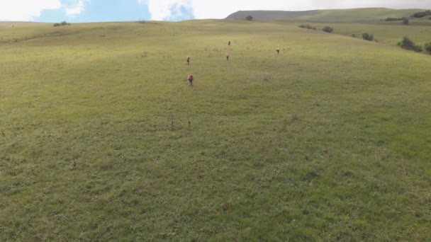 Luchtfoto van een groep toeristen met rugzakken beklimmen van de berg. — Stockvideo