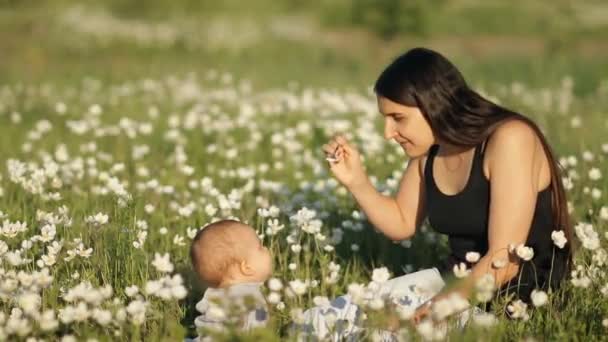 Movimento lento de uma jovem mãe feliz alimenta seu bebê sentado no meio de um campo de flores no Parque . — Vídeo de Stock