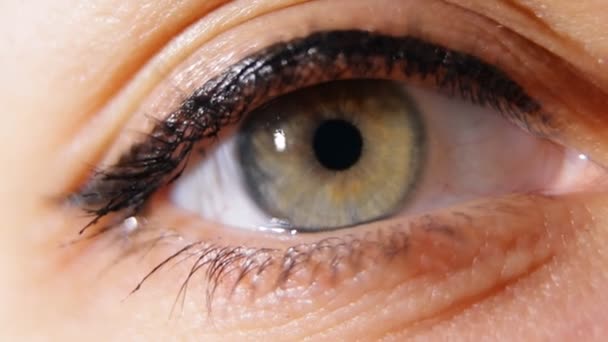 Macro shot of pupil narrows. — Stock Video