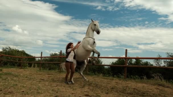 Žena trénuje svého koně v ohradě. — Stock video