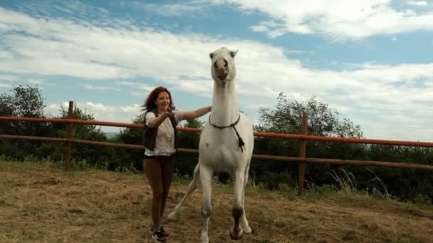 Mujer entrena a un caballo en un hipódromo sosteniéndola por las riendas . — Vídeo de stock