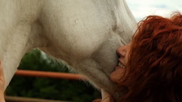 Uma mulher está envolvida em hipoterapia ao ar livre . — Vídeo de Stock