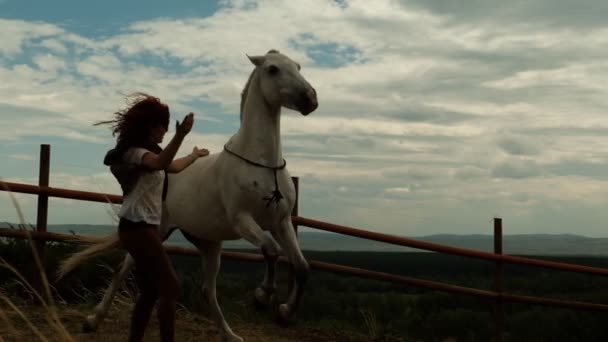 Una mujer entrena a su caballo en el paddock . — Vídeo de stock