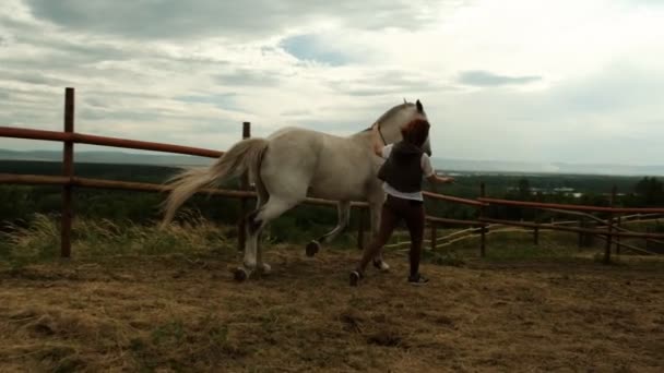 Mujer entrena a un caballo en un hipódromo sosteniéndola por las riendas . — Vídeo de stock