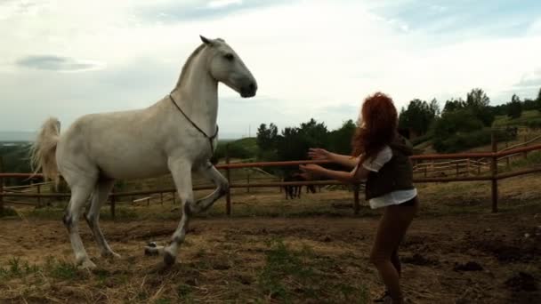Eine Frau trainiert ihr Pferd auf der Koppel. — Stockvideo