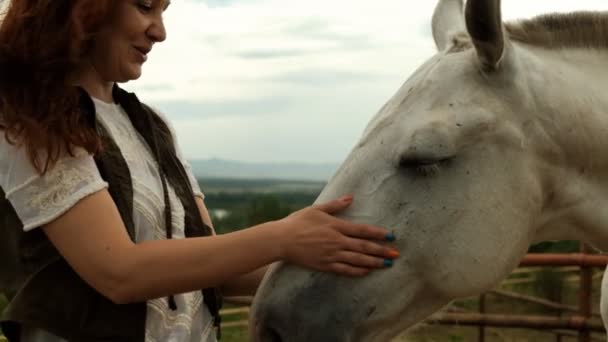 A young happy woman strokes the horses muzzle and smiles. — Stock Video