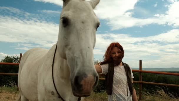 Αργή κίνηση πορτραίτο μιας ευτυχης ελκυστικής γυναίκας και ενός λευκού αλόγου. — Αρχείο Βίντεο