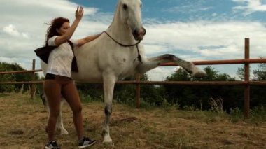 Genç bir kadın ve bir at çayırda, at bacaklarını yüksek kaldırır. Eğitim süreci.