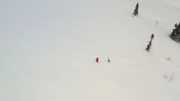 Widok z lotu ptaka dwóch przyjaciół na nartach i snowboardzie w dół góry. — Wideo stockowe