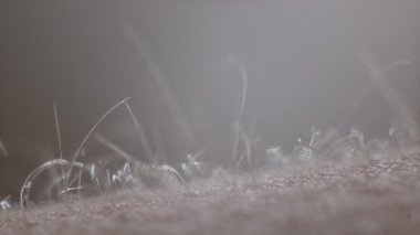 Tüylerim diken diken oldu ve saçlarım kabardı..