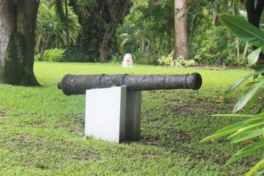 Canon evin arka bahçesinde çim zeminde